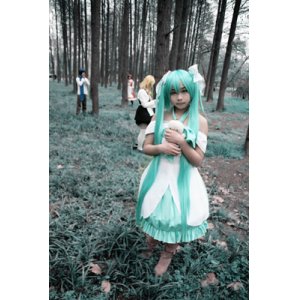 画像: 格安 VOCALOID 初音ミク 派生 人柱アリス風 コスプレ ウィッグ